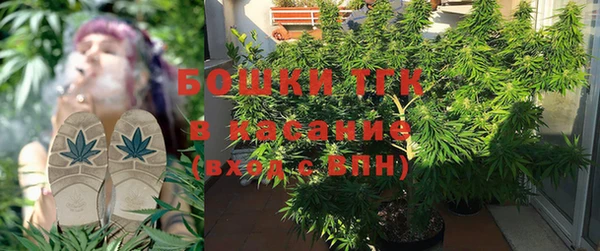 PSILOCYBIN Ступино