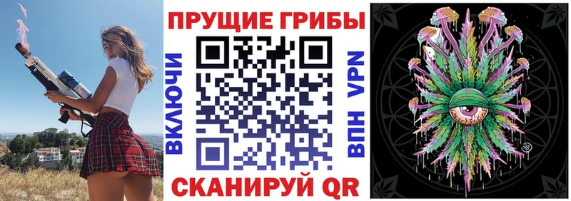 Псилоцибиновые грибы Magic Shrooms  Новохопёрск 